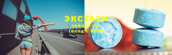 индика Козельск