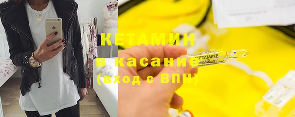 индика Козельск