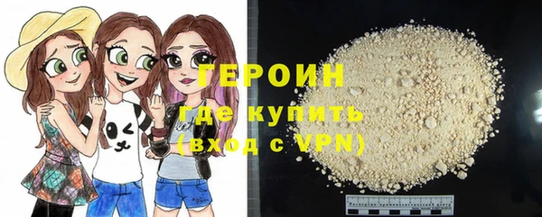 индика Козельск