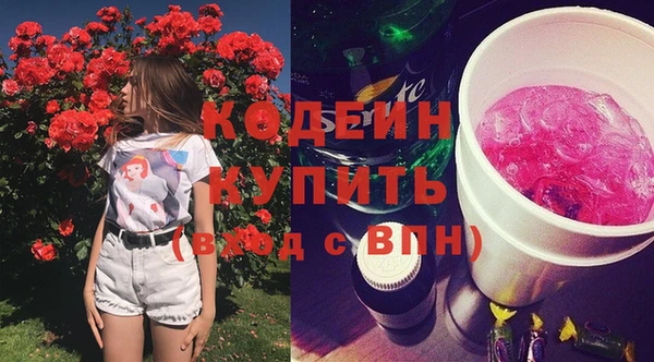 сатива Козловка