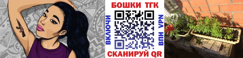 Купить закладки  Макаров  Конопля индика 